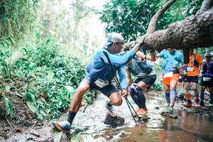 BIB: 
                            <button type="button" onclick="openModal(25372377)" class="btn btn-primary btn-sm float-right btn-popup" data-toggle="modal" data-target=".modal-high-quality">
                        <i class="fas fa-shopping-cart"></i> Add to Cart
                    </button>
                                            <button type="button" onclick="isThisMe(25372377, true)" class="btn btn-success btn-sm float-right btn-popup btn-isme hidden" data-toggle="tooltip" data-placement="bottom" title="นี่คือรูปของคุณใช่ไหม คลิกที่นี่เพื่อเอาเข้าอัลบั้ม">
                        <i class="fas fa-plus"></i> Add to album
                    </button>
                    <button type="button" onclick="isThisMe(25372377, false)" class="btn btn-warning btn-sm float-right btn-popup btn-isnotme hidden">
                        <i class="fas fa-ban"></i> Remove from album
                    </button>